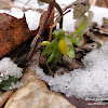 dsc06551.jpg