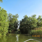 IMG_7863.JPG