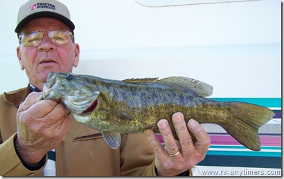 Fish Cropped