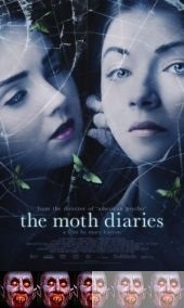 moth C moth C