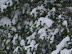 Shopper Stopper - Blizzard of '09