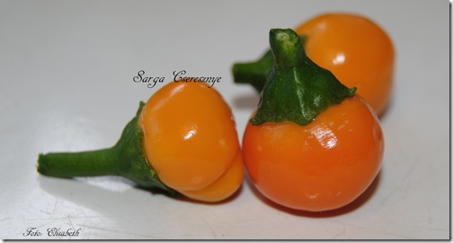 DSC_0014 DSC_0014