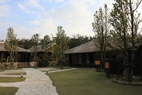IMG_6745 IMG_6745