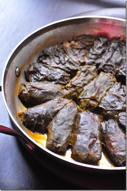 stuffed grape leaves after baking