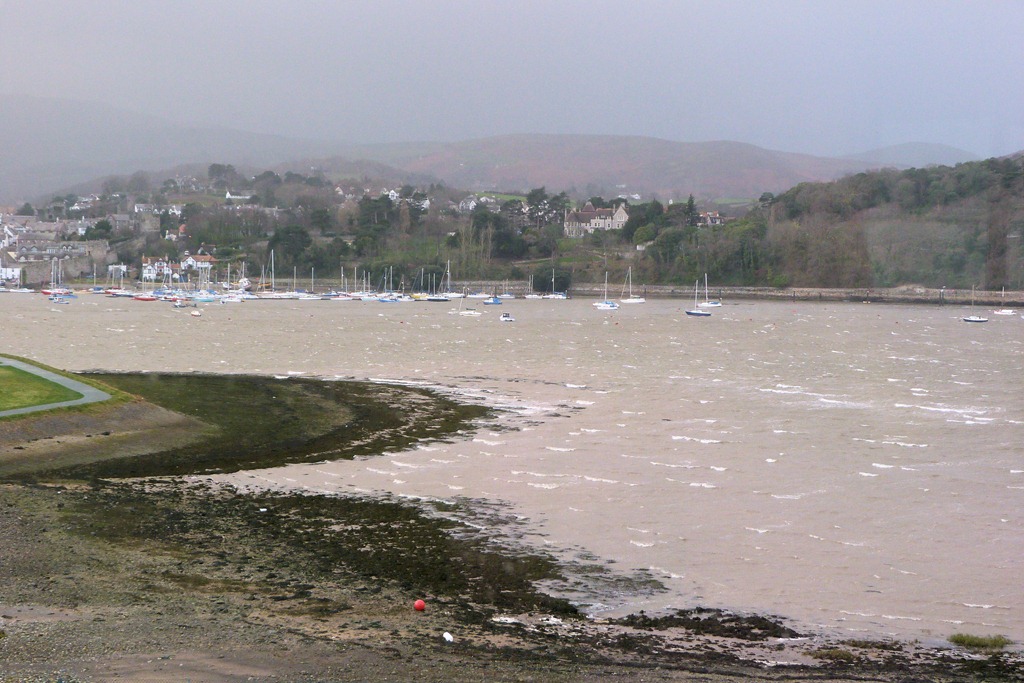 [estuary%2520003%255B4%255D.jpg]