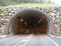 IMG_3155 IMG_3155