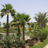 IMG_5074.JPG