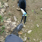 Juan, the toucan, was really a crazy bird.  He bites my toes.