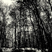 DSC_0073.JPG
