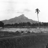 Gunung Ringgit (unknown photographer, 1927-29, courtesy TropenMuseum)