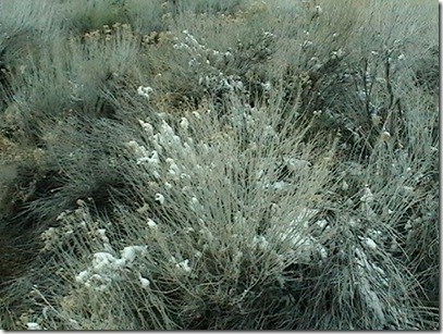 IMGA0884 IMGA0884