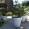 pasaia-06-2011-klein-007.JPG