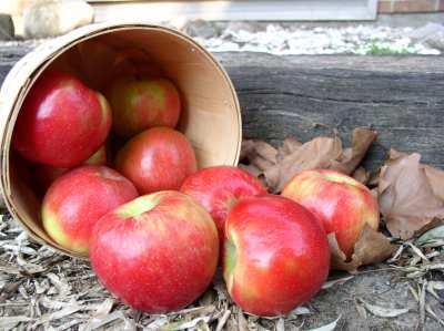 [apples%255B6%255D.jpg]