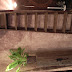 R0027964.JPG