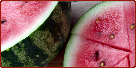 Watermelon-Ice-Paticia-Ricci.png Watermelon Ice Paticia Ricci
