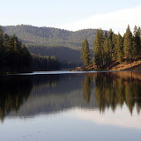 Camp Reed Landscape