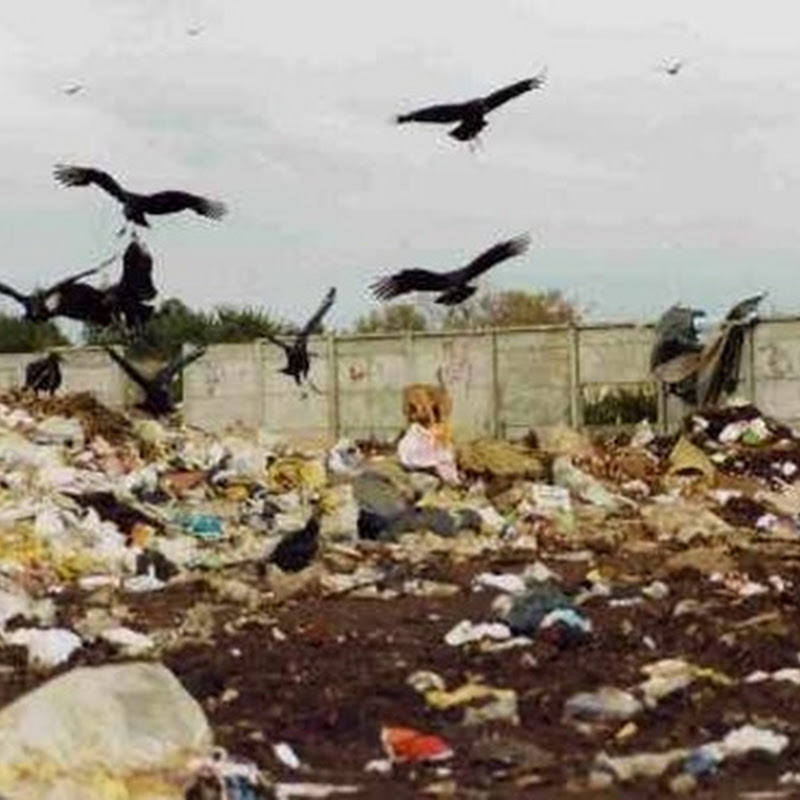 Suecia compra basura para generar energía