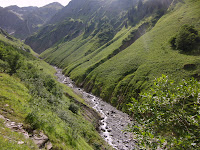 CIMG3466.JPG Photo