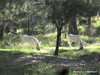 IMG_4104.JPG Photo