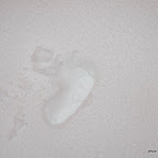DSC_3490.JPG
