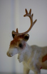 IMG_3937 IMG_3937