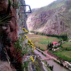 Wildflowers bloom stright out of the rock.