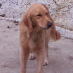 hiking_29.jpg