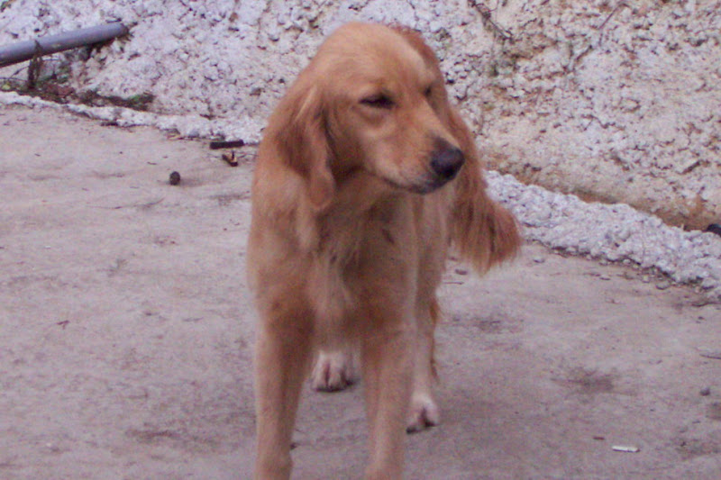 hiking_29.jpg