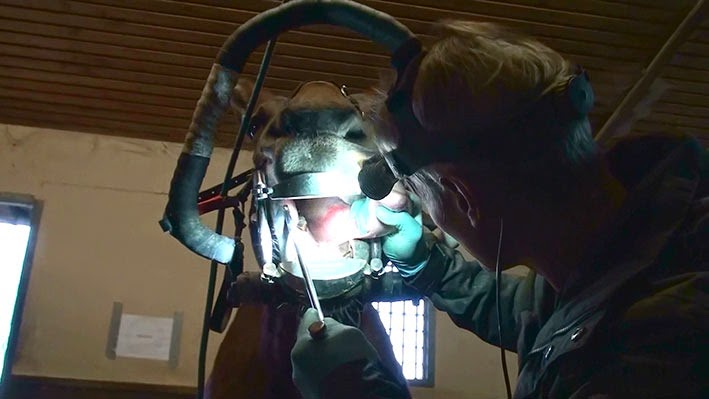 [20141114120019-%25281%2529%255B2%255D.jpg]