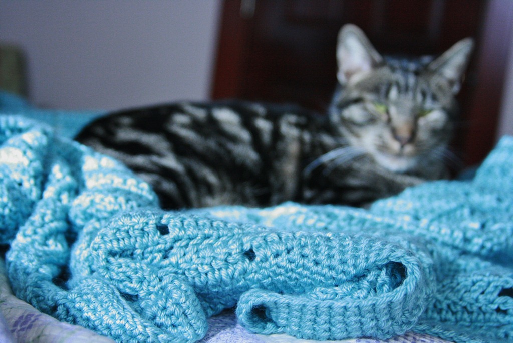[blanket%2520b%255B9%255D.jpg]