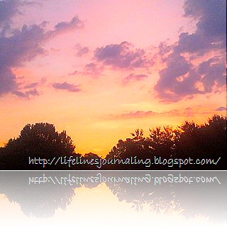 0606012052b