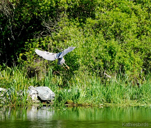 DSC_0346 DSC_0346