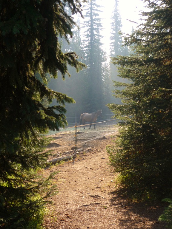 [Horse%2520trip%2520095%255B7%255D.jpg]