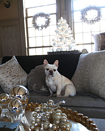 Here is Sharkey sitting among all of Martha's silver decor.  So pretty!(marthastewart.com)
