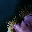 201209 Ko Haa-90.jpg