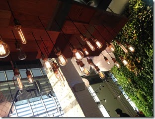 IMG_9906 IMG_9906