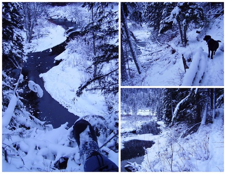 [Collage-Blue-Nature-Trail_tn1.jpg]