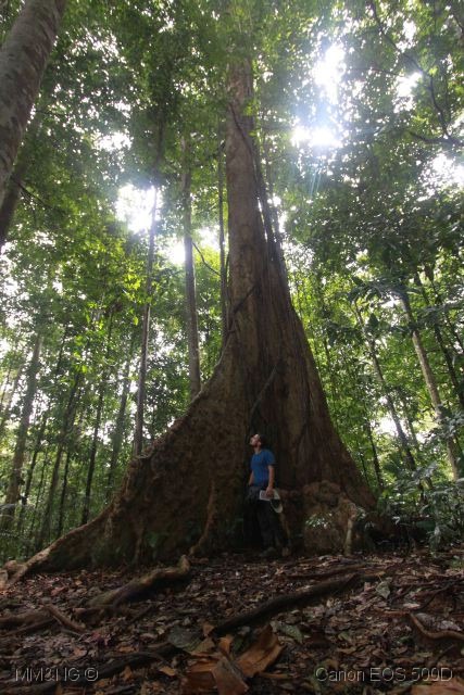 [IMG_1222%255B5%255D.jpg]