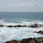 DSC_7469.JPG