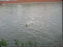 IMG_1177 IMG_1177