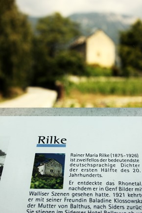 IMG_0215 IMG_0215