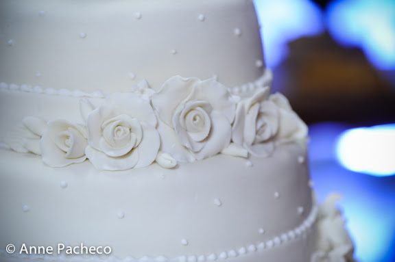 2012-01-14-anny-danniely-e-victor-972.jpg