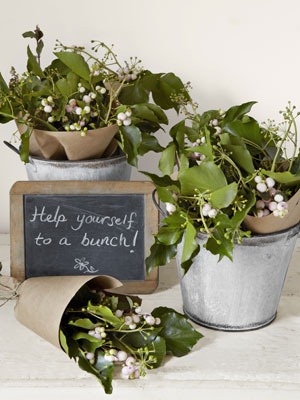 [Holiday-Party-Tips-bouquets-in-bucke.jpg]