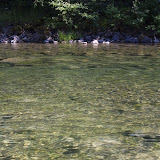 IMG_8533.jpg