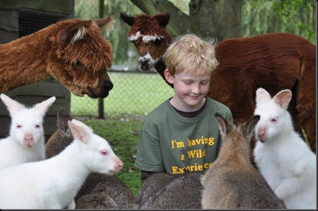 Elliott with Wallabies