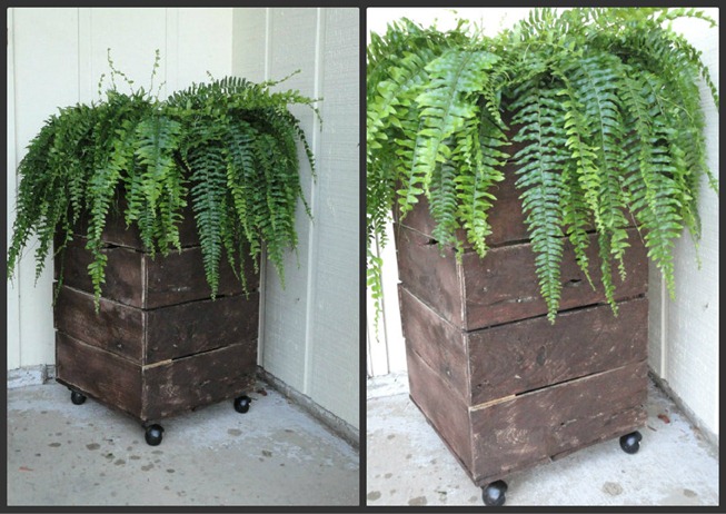 Pallet Planter Collage 2