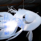Poisson sculpte dans une bouteille deau en plastique