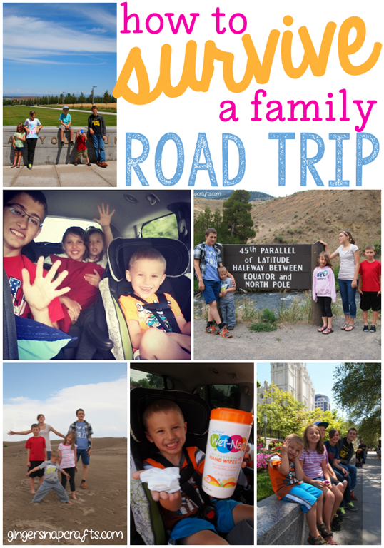 [How-to-Survive-a-Family-Road-Trip-wi%255B3%255D.png]