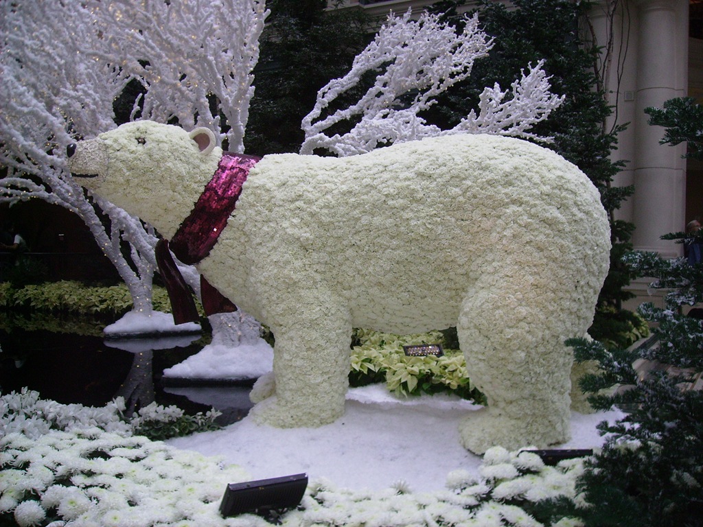 [PICT0319%255B4%255D.jpg]