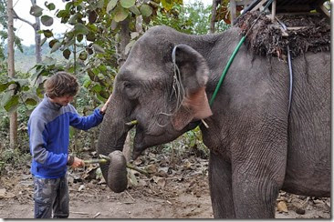 Laos Luang Prabang Elephant mahout course 140202_0101